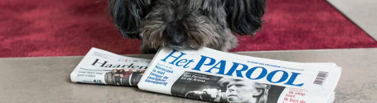 Verhuischecklist-6-weken-voor-de-verhuizing-–-6-tips