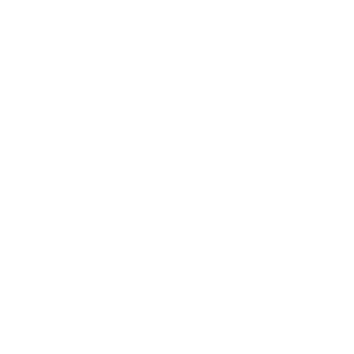 Mooijekind Vleut Makelaars – Website – Iconen footer #4