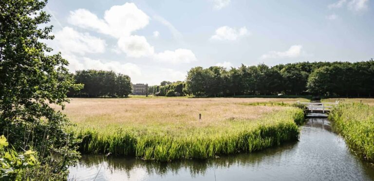Haarlem-Duinwijk-Mooijekind-Vleut-Makelaars